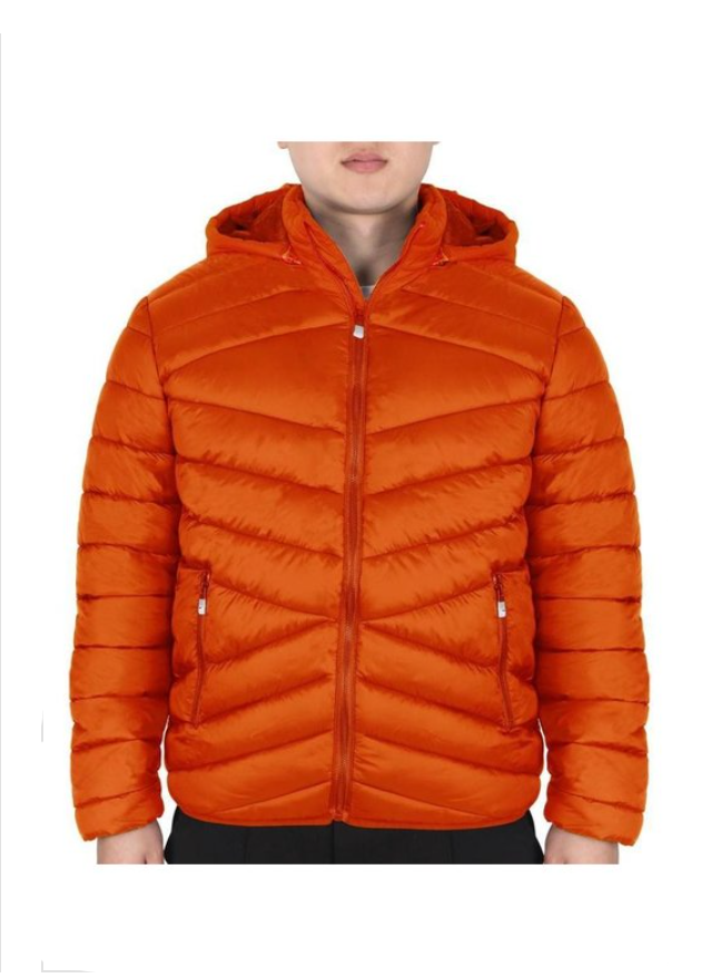 Men's Puffer Jacket With Hoodie