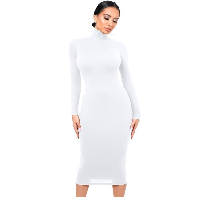 Turtle Neck Long Sleeve Solid Dress