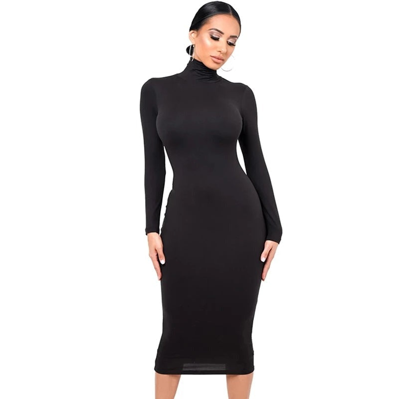 Turtle Neck Long Sleeve Solid Dress