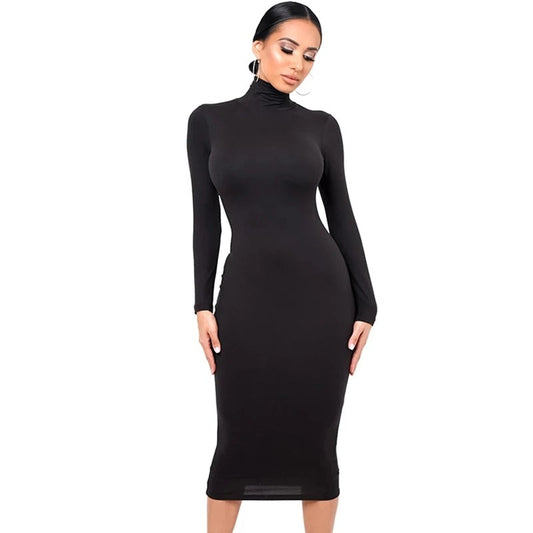 Turtle Neck Long Sleeve Solid Dress