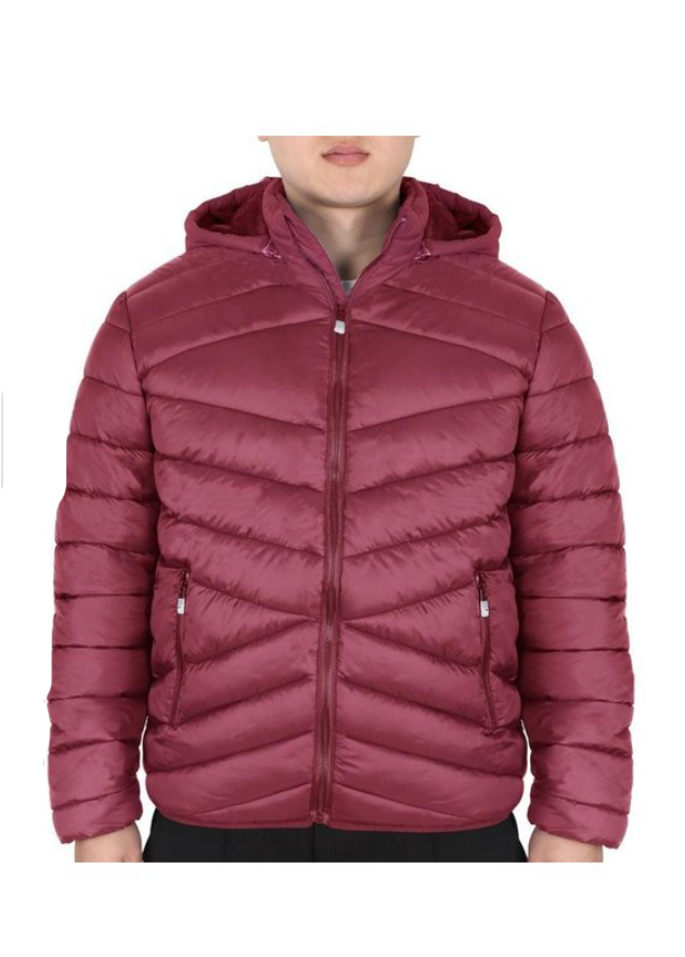 Men's Puffer Jacket With Hoodie